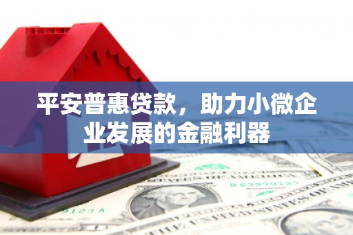鹿野平安普惠贷款，助力小微企业发展的金融利器