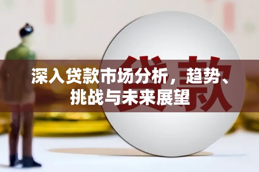 鹿野深入贷款市场分析，趋势、挑战与未来展望