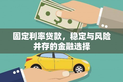 鹿野固定利率贷款，稳定与风险并存的金融选择