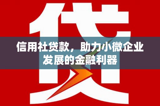 鹿野信用社贷款，助力小微企业发展的金融利器