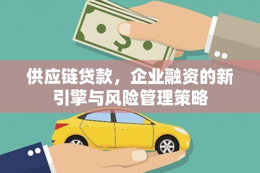鹿野供应链贷款，企业融资的新引擎与风险管理策略