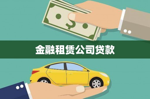鹿野金融租赁公司贷款