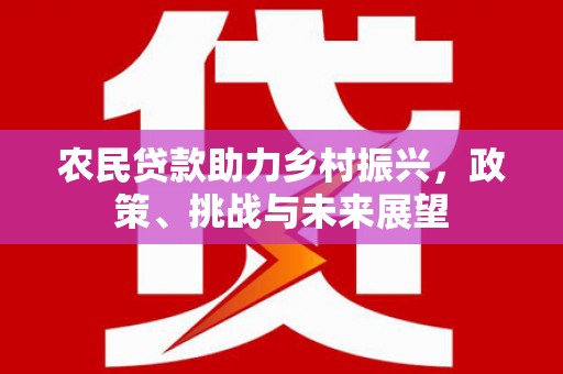 鹿野农民贷款助力乡村振兴，政策、挑战与未来展望
