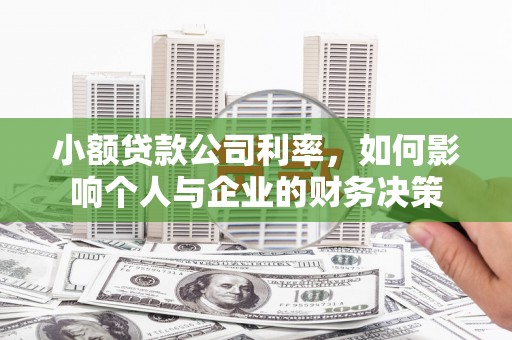 鹿野小额贷款公司利率，如何影响个人与企业的财务决策