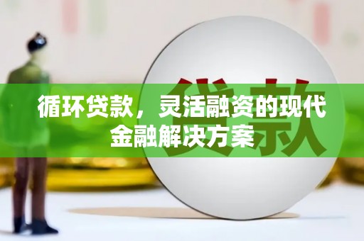 鹿野循环贷款，灵活融资的现代金融解决方案