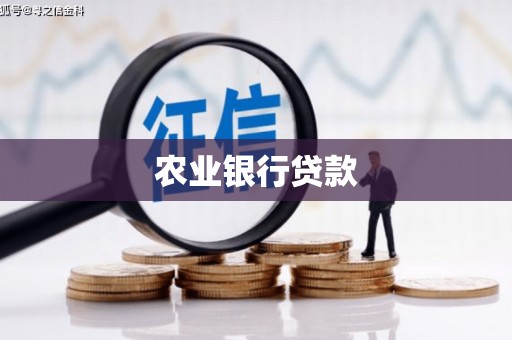 鹿野农业银行贷款