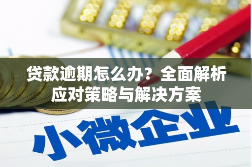 鹿野贷款逾期怎么办？全面解析应对策略与解决方案