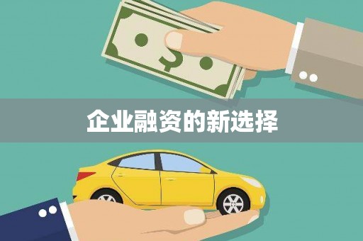 鹿野企业融资的新选择