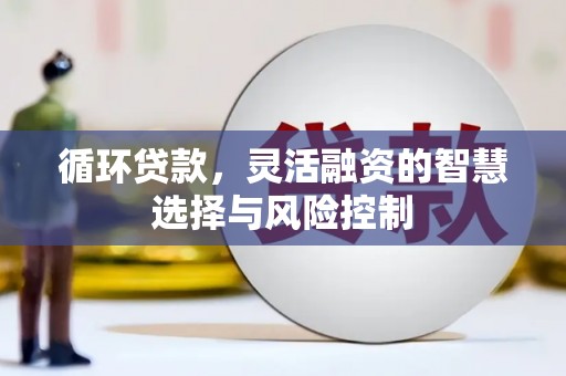 鹿野循环贷款，灵活融资的智慧选择与风险控制