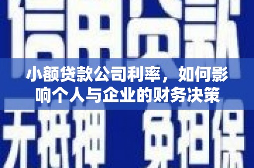 鹿野小额贷款公司利率，如何影响个人与企业的财务决策