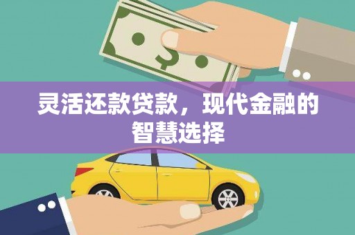 鹿野灵活还款贷款，现代金融的智慧选择