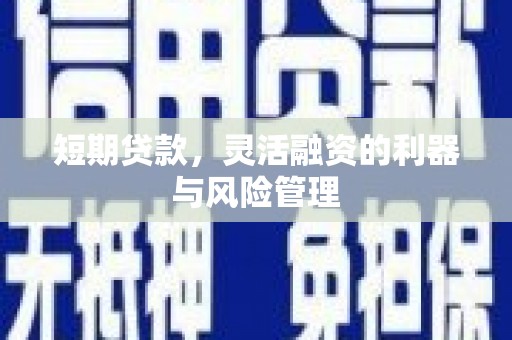 鹿野短期贷款，灵活融资的利器与风险管理