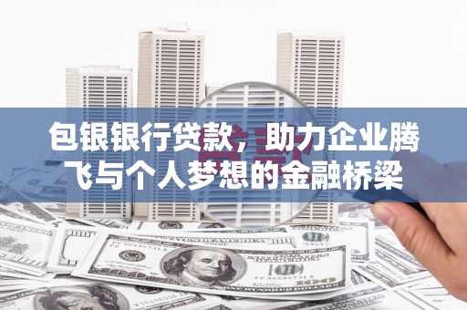 鹿野包银银行贷款，助力企业腾飞与个人梦想的金融桥梁