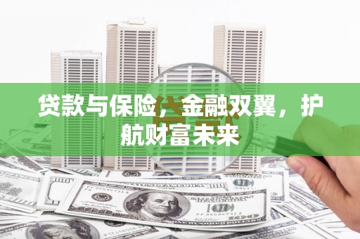 鹿野贷款与保险，金融双翼，护航财富未来