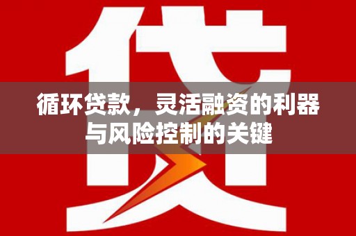鹿野循环贷款，灵活融资的利器与风险控制的关键