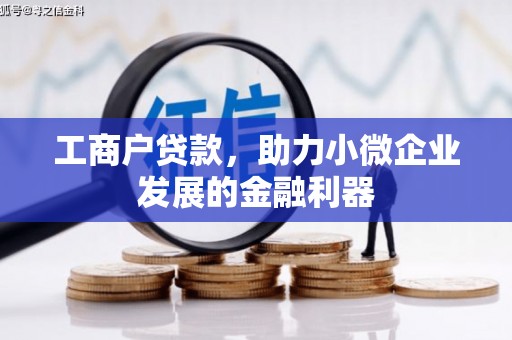 鹿野工商户贷款，助力小微企业发展的金融利器