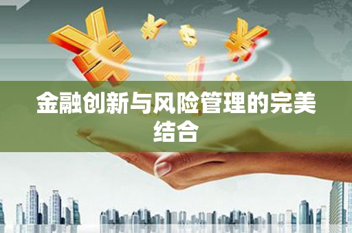 鹿野金融创新与风险管理的完美结合