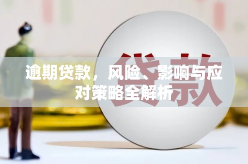 鹿野逾期贷款，风险、影响与应对策略全解析