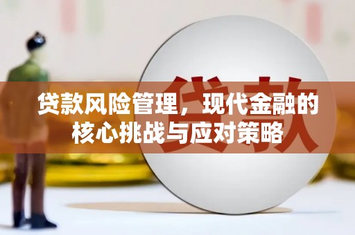 鹿野贷款风险管理，现代金融的核心挑战与应对策略