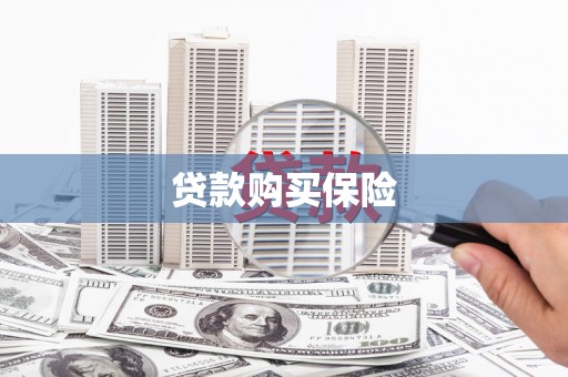 鹿野贷款购买保险