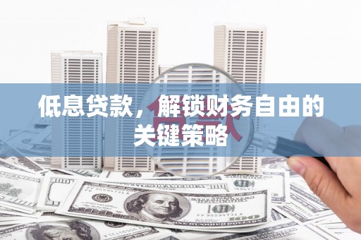鹿野低息贷款，解锁财务自由的关键策略