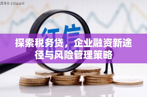 鹿野探索税务贷，企业融资新途径与风险管理策略