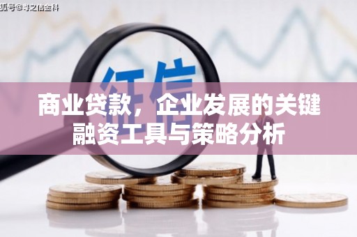 鹿野商业贷款，企业发展的关键融资工具与策略分析