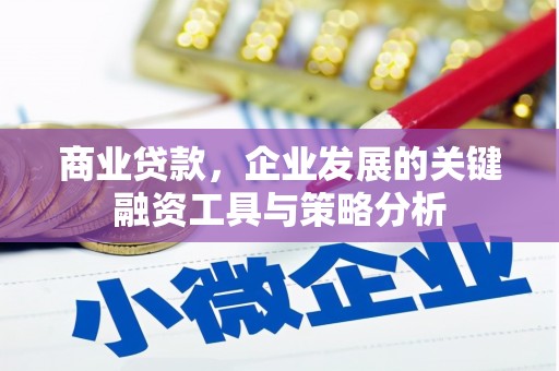 鹿野商业贷款，企业发展的关键融资工具与策略分析