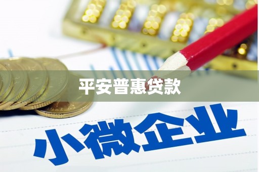 鹿野平安普惠贷款
