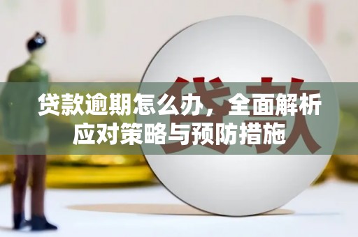鹿野贷款逾期怎么办，全面解析应对策略与预防措施