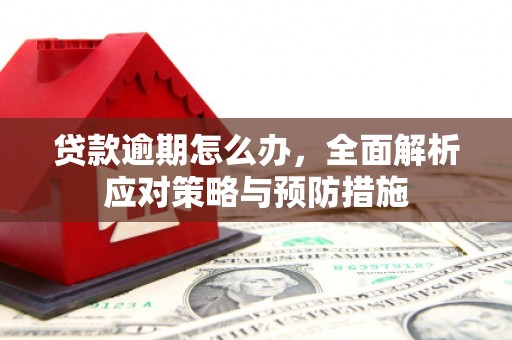 鹿野贷款逾期怎么办，全面解析应对策略与预防措施