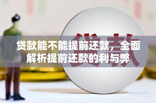 鹿野贷款能不能提前还款，全面解析提前还款的利与弊