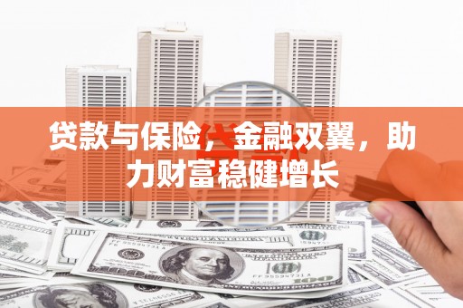 鹿野贷款与保险，金融双翼，助力财富稳健增长