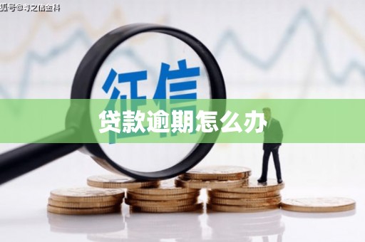 鹿野贷款逾期怎么办