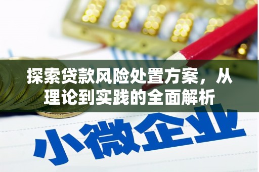 鹿野探索贷款风险处置方案，从理论到实践的全面解析