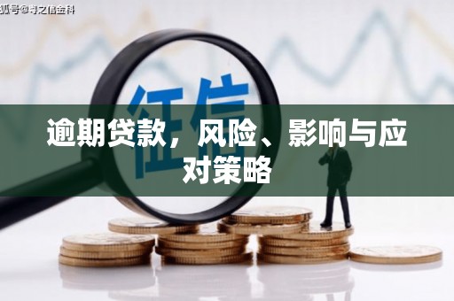 鹿野逾期贷款，风险、影响与应对策略