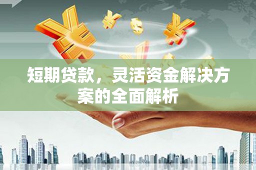 鹿野短期贷款，灵活资金解决方案的全面解析