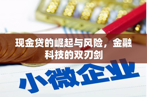 鹿野现金贷的崛起与风险，金融科技的双刃剑