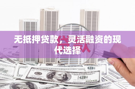 鹿野无抵押贷款，灵活融资的现代选择