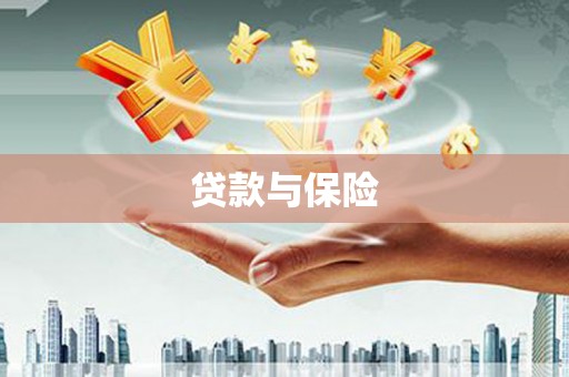 鹿野贷款与保险