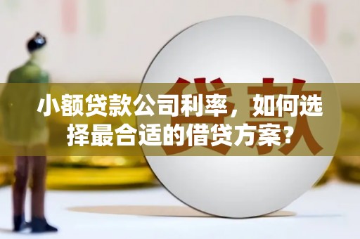 鹿野小额贷款公司利率，如何选择最合适的借贷方案？