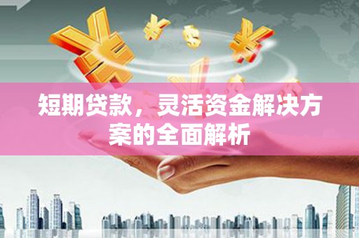 鹿野短期贷款，灵活资金解决方案的全面解析