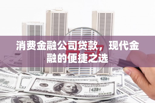 鹿野消费金融公司贷款，现代金融的便捷之选