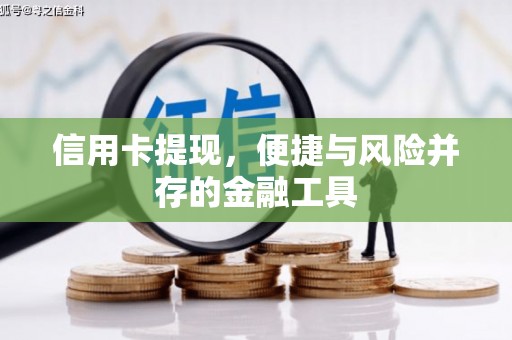 鹿野信用卡提现，便捷与风险并存的金融工具