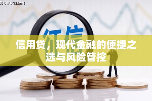 鹿野信用贷，现代金融的便捷之选与风险管控