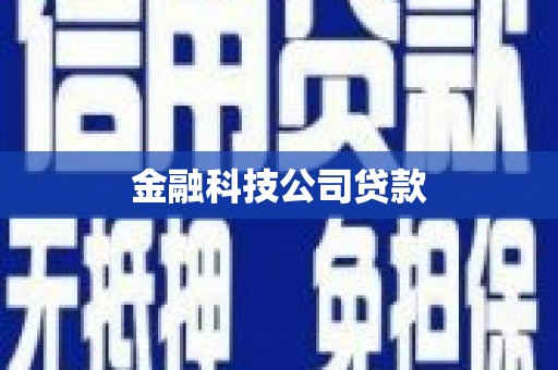 鹿野金融科技公司贷款