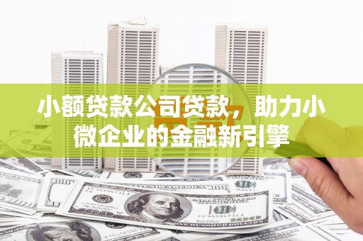 鹿野小额贷款公司贷款，助力小微企业的金融新引擎