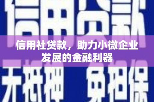 鹿野信用社贷款，助力小微企业发展的金融利器