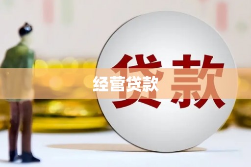 鹿野经营贷款