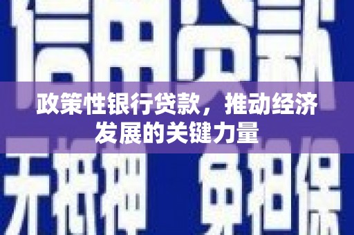 鹿野政策性银行贷款，推动经济发展的关键力量